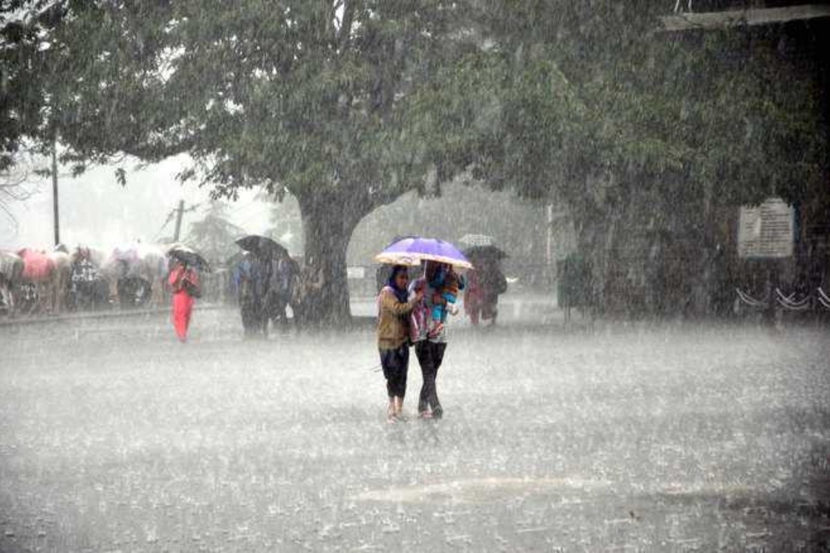 Punjab Rain Update