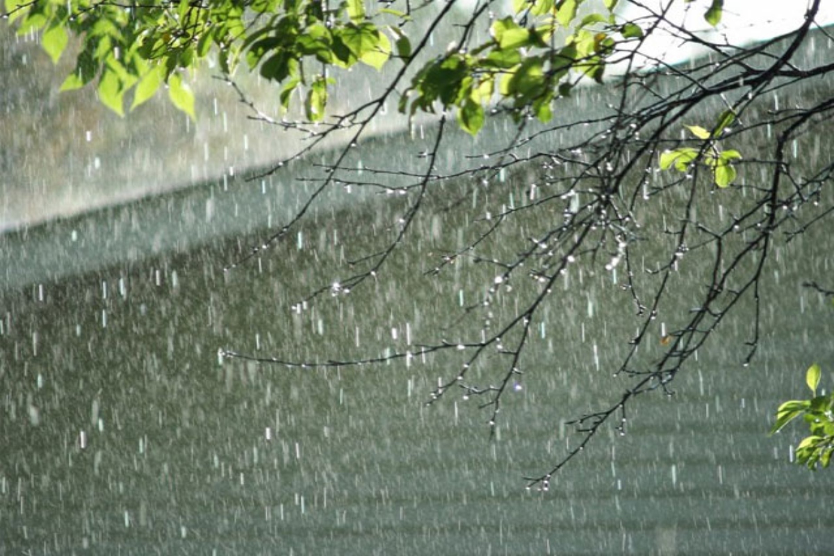 Rain, thundershower expected in various parts of country