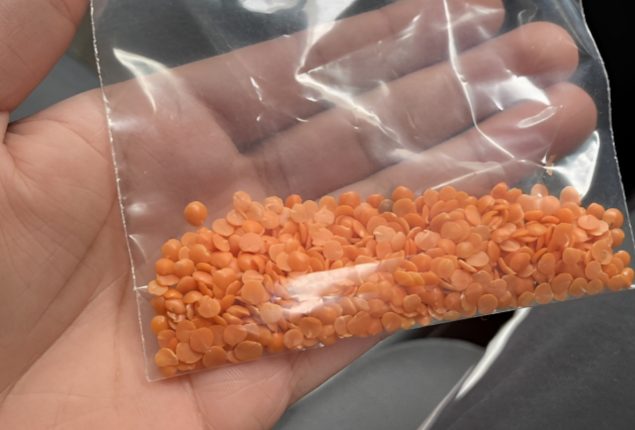 Mom Sends Son to Grocery Store with 'Dal Sample'