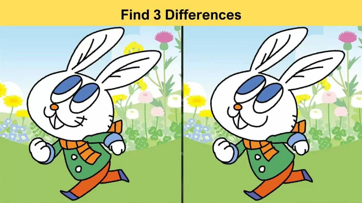 Spot the difference
