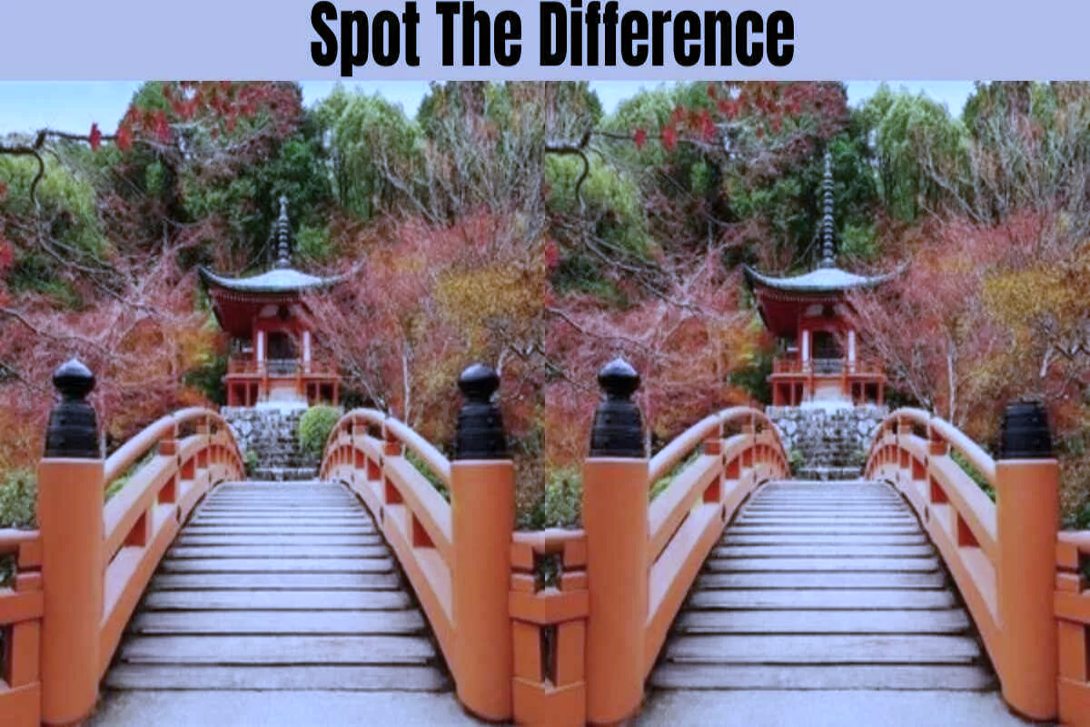 Spot the Difference
