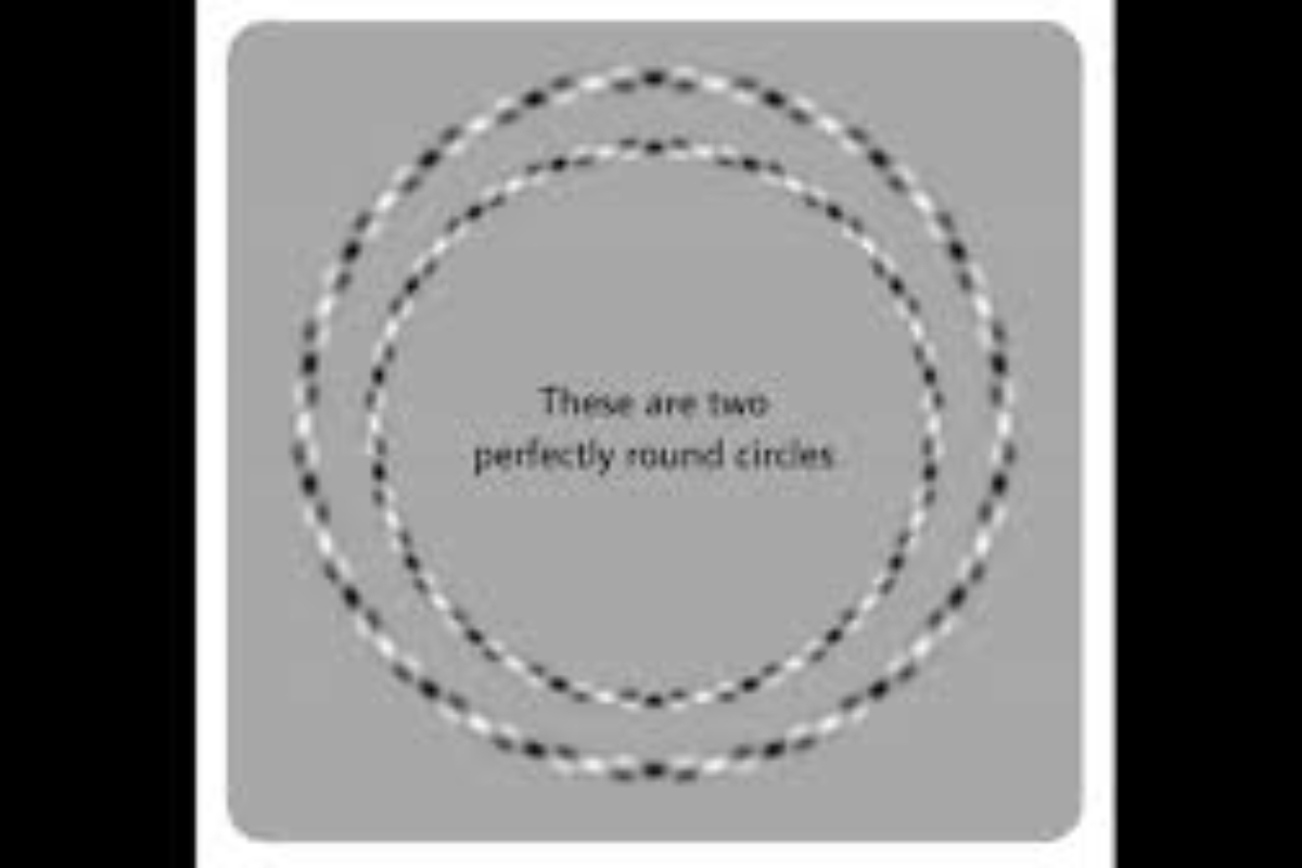 Can You See the Circles? Or Are You Just Seeing Squares?