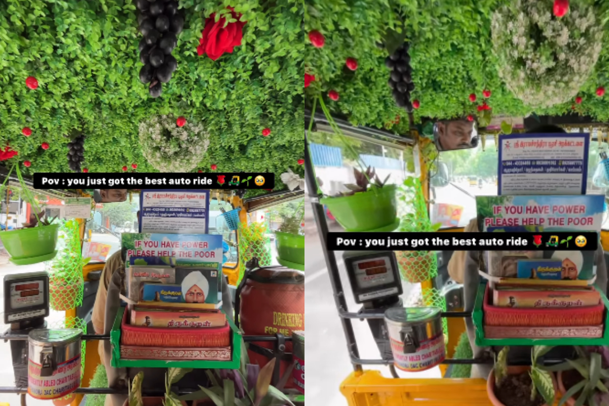 Mini Garden in Auto