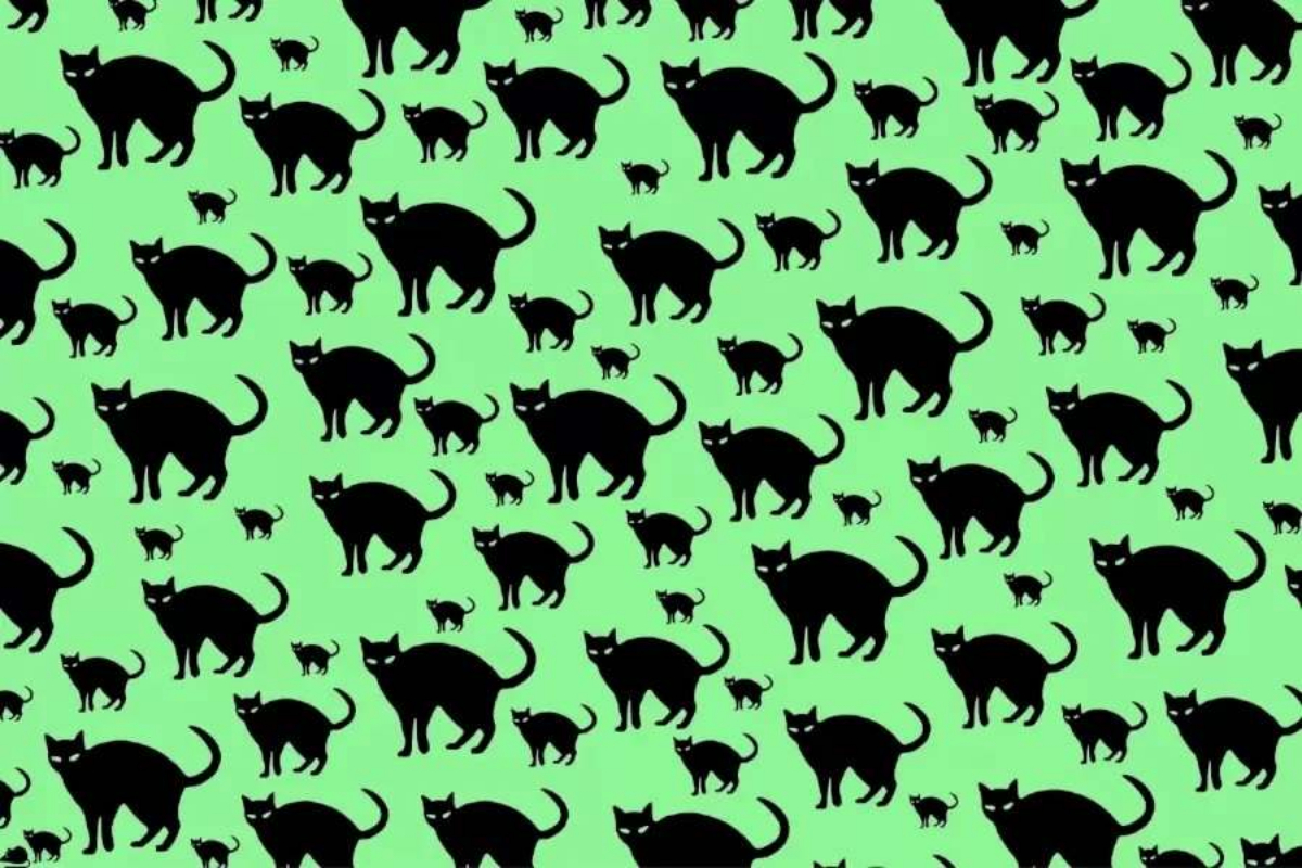 Optical Illusion Test