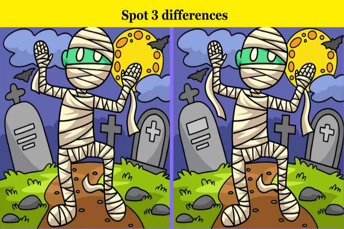 Spot the Difference
