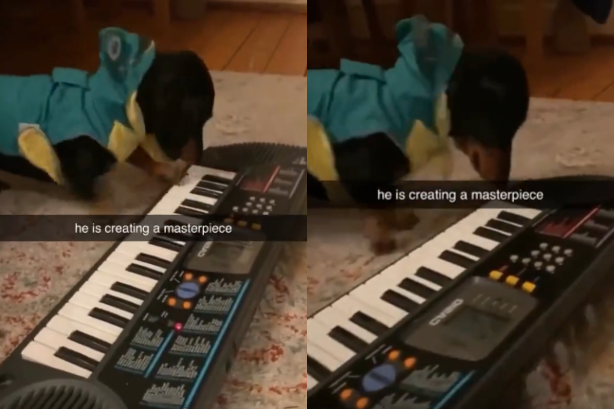 Musical Masterpiece