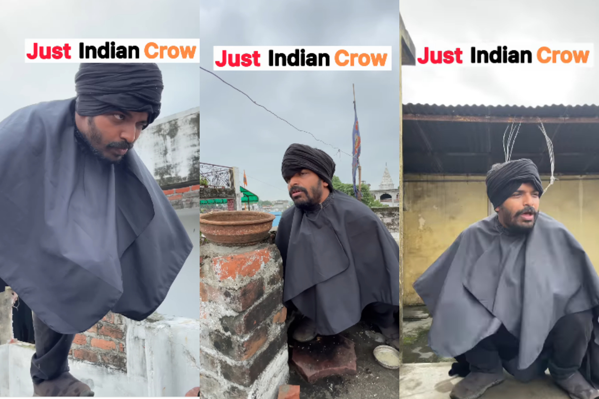 Crow's Life