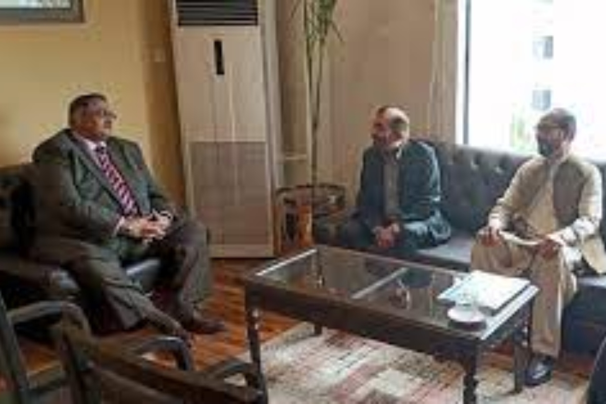 MQM ECP