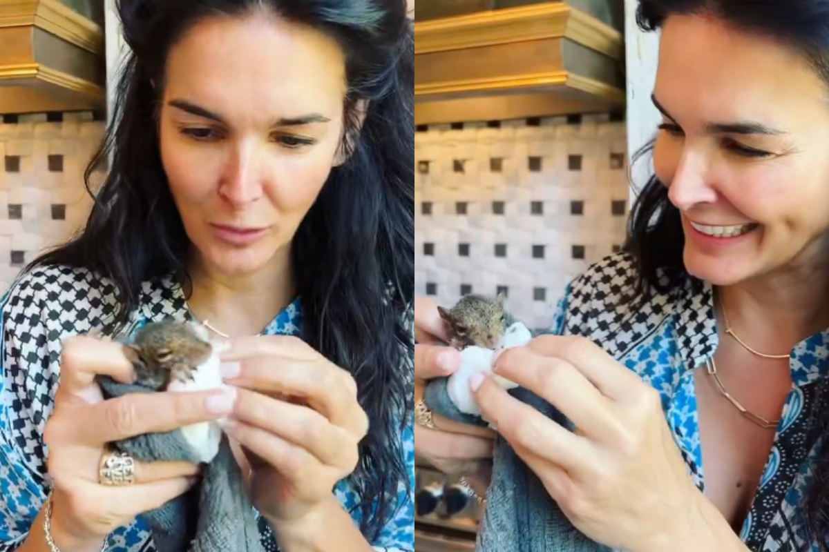 Angie Harmon