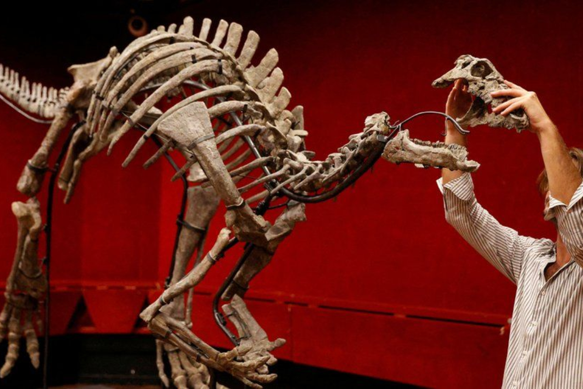 "Barry" the Dinosaur on the Auction Block in Paris