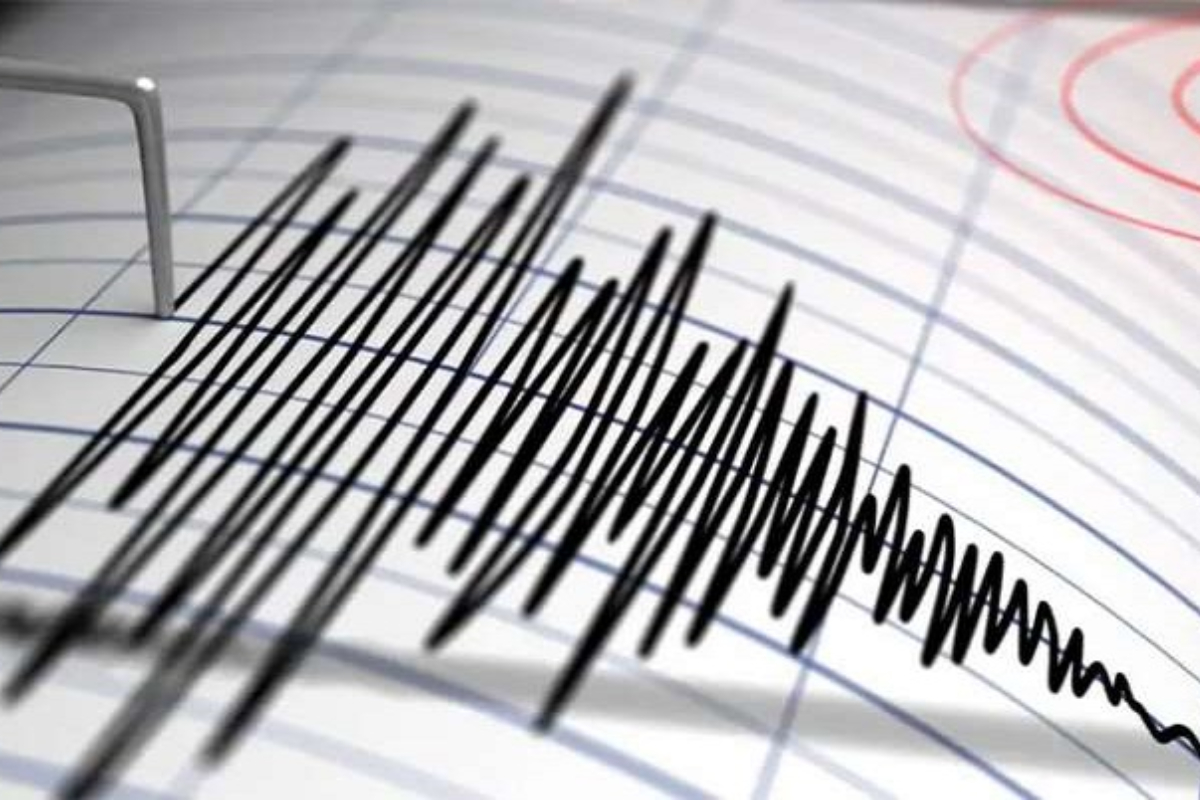 Tremor Geraldine New Zealand