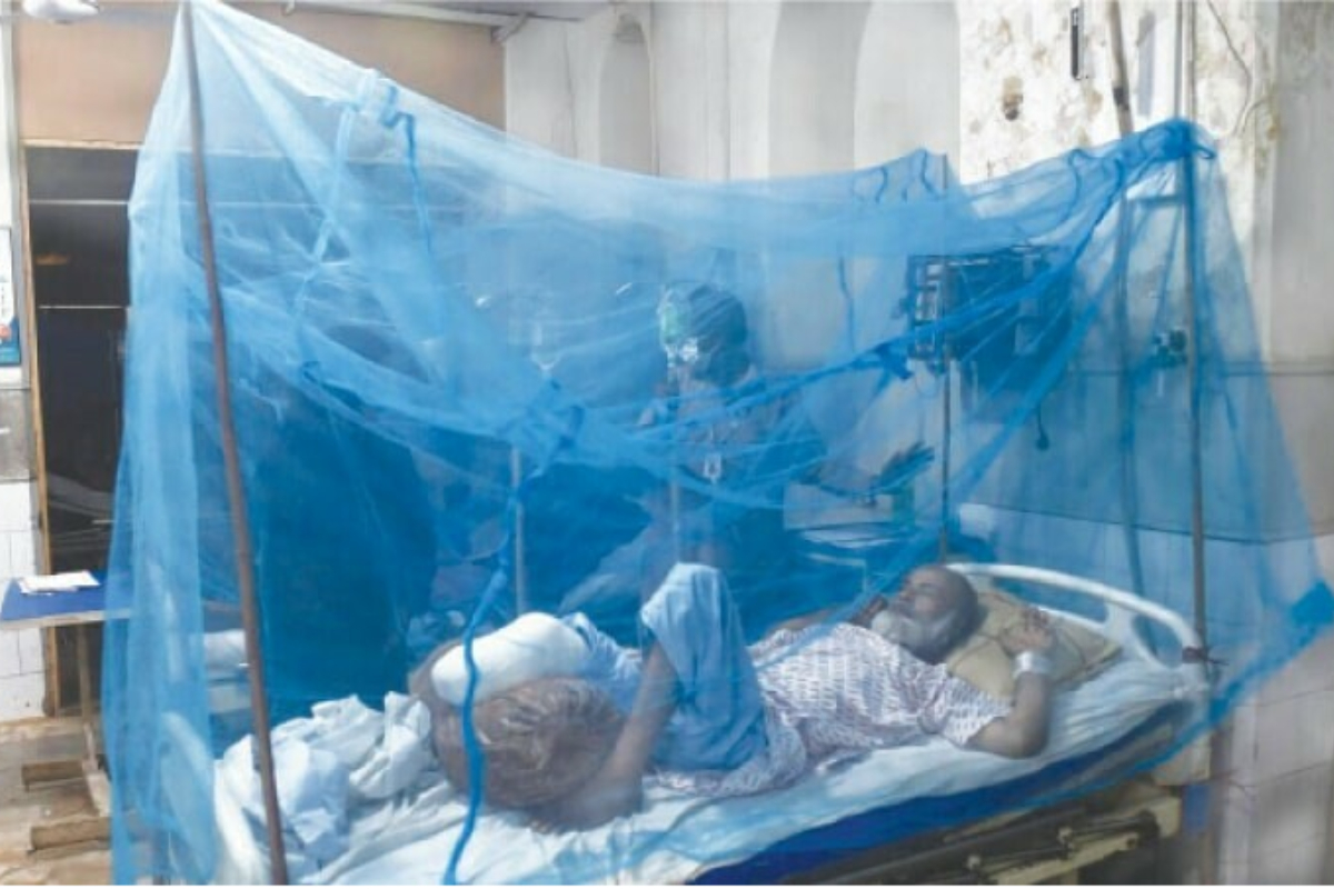 malaria cases Sindh