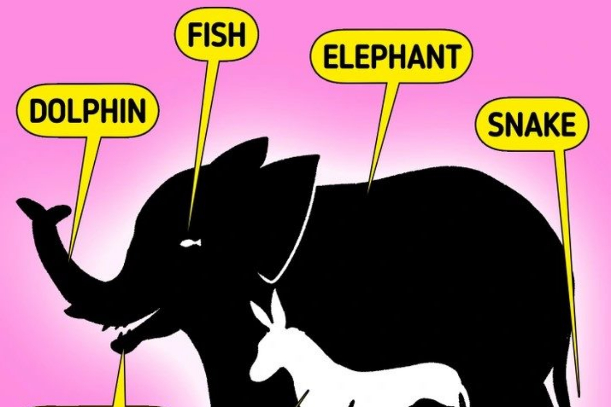 Optical Illusion Test: How Many Animals in the Picture?