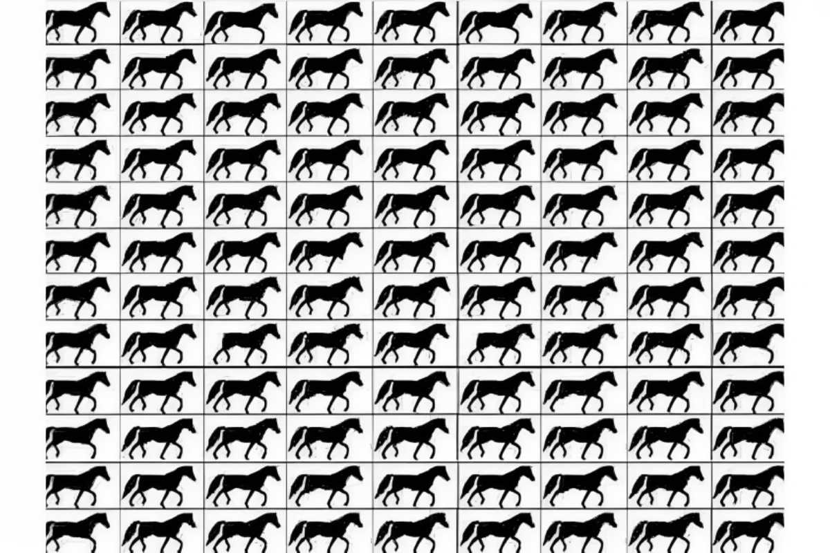 Optical Illusions