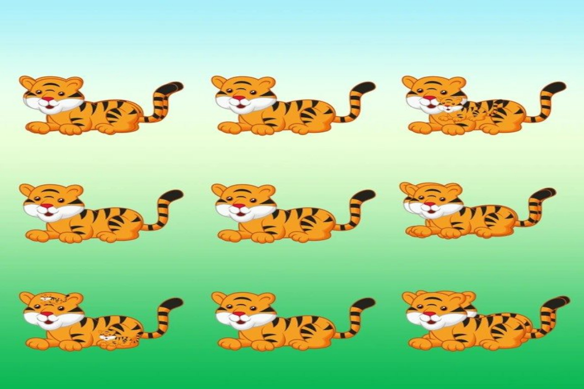 Brain Teaser