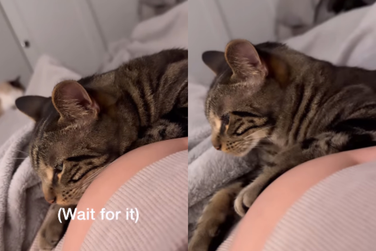 Pregnant Woman