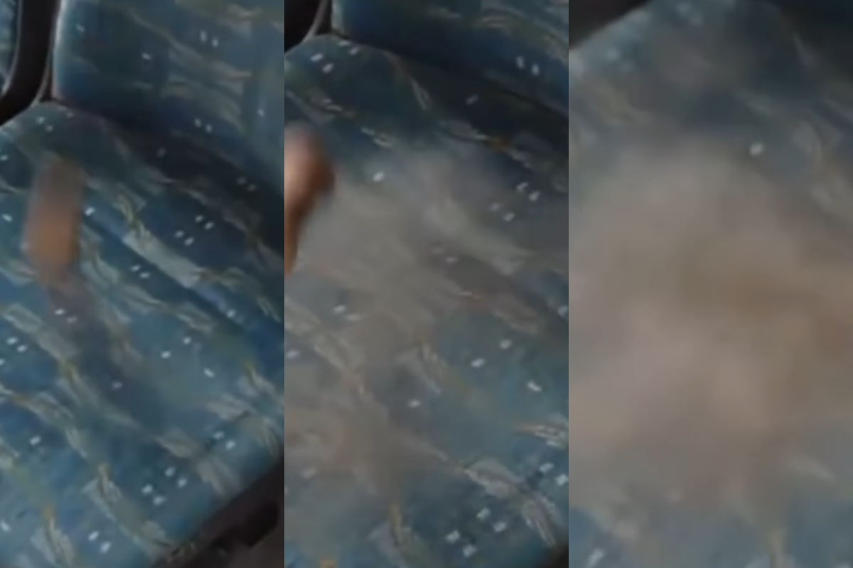 Shocking Dust Buildup on Bus Seat Leaves Netizens Horrified