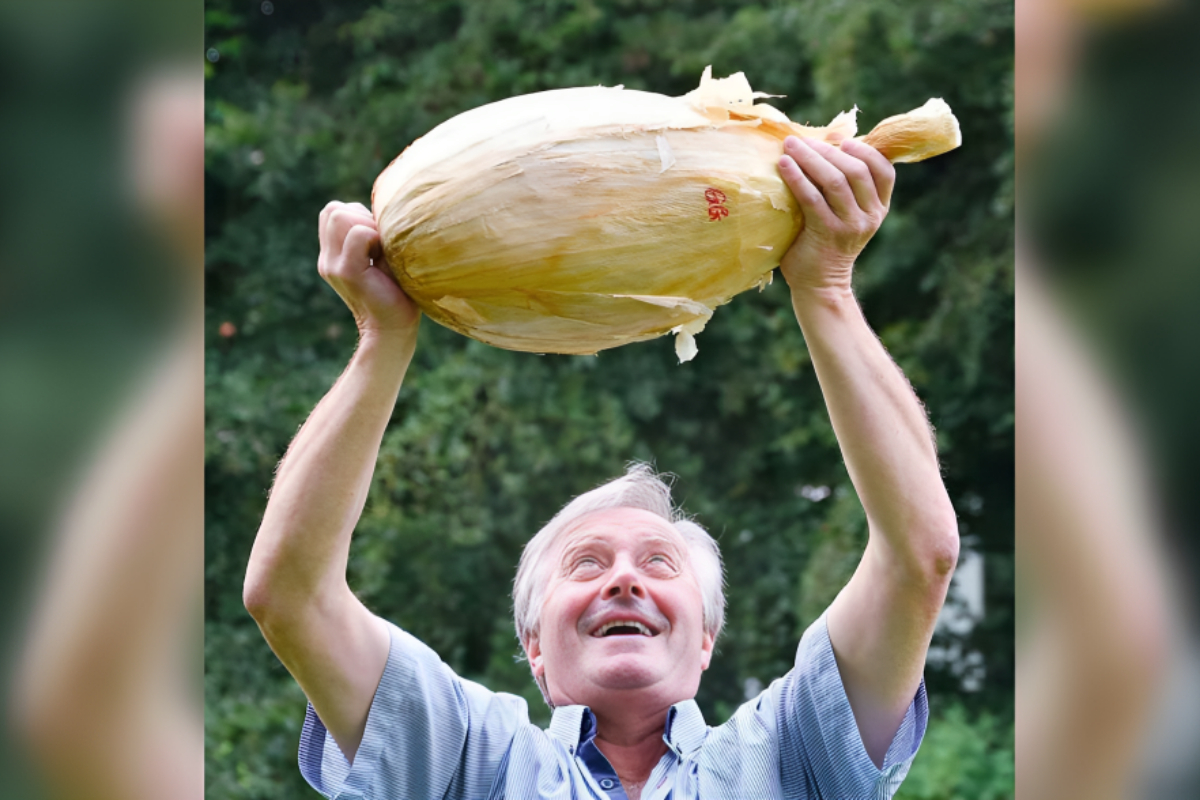 onion