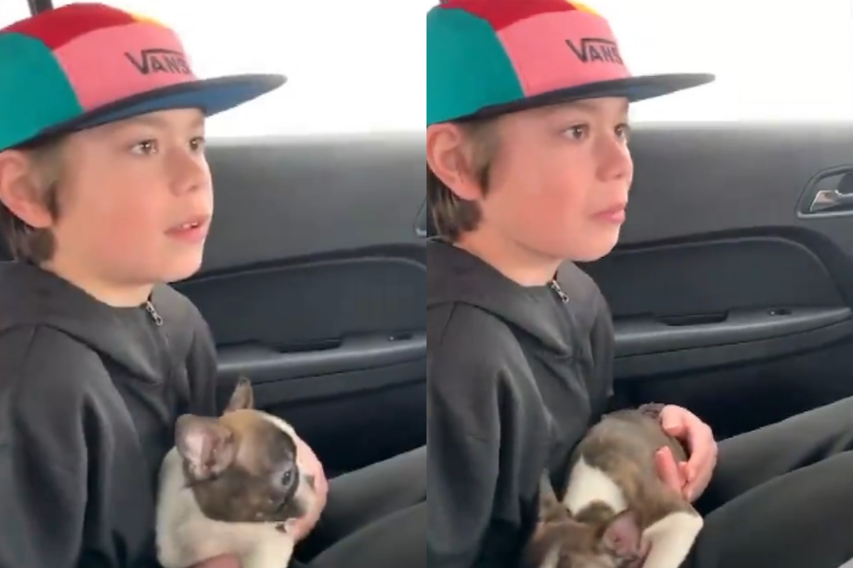 Dad Fulfills Son's Wish