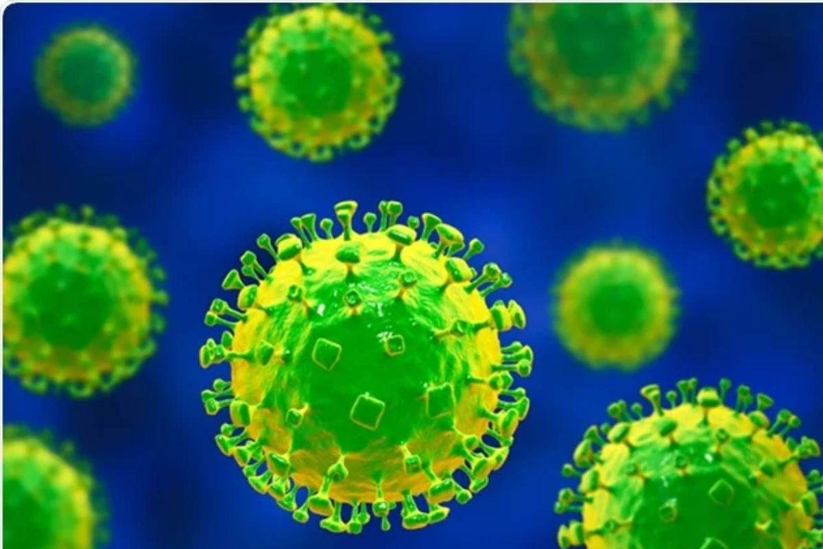 Deadly virus Sindh