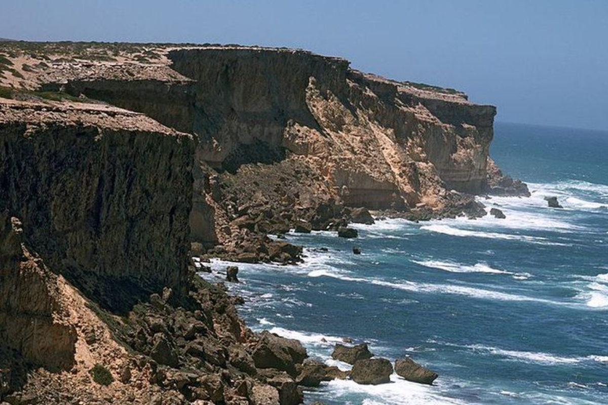 Search Underway for Missing Surfer in Australia Shark Attack