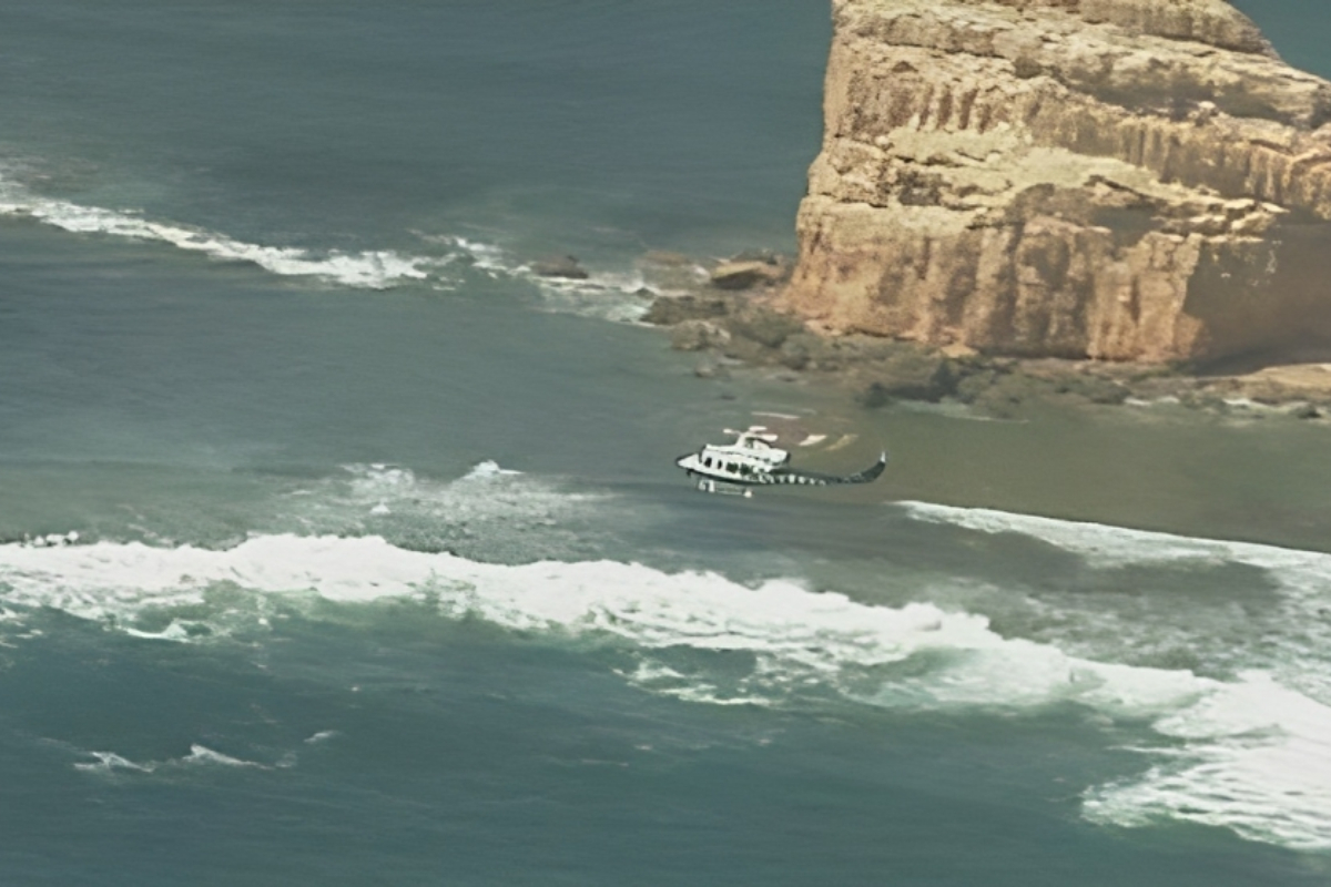 Australia shark attack