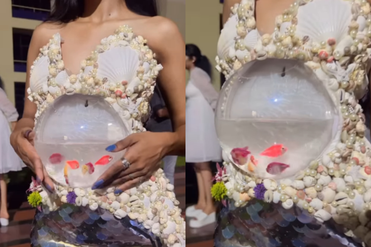 Fish in Dress