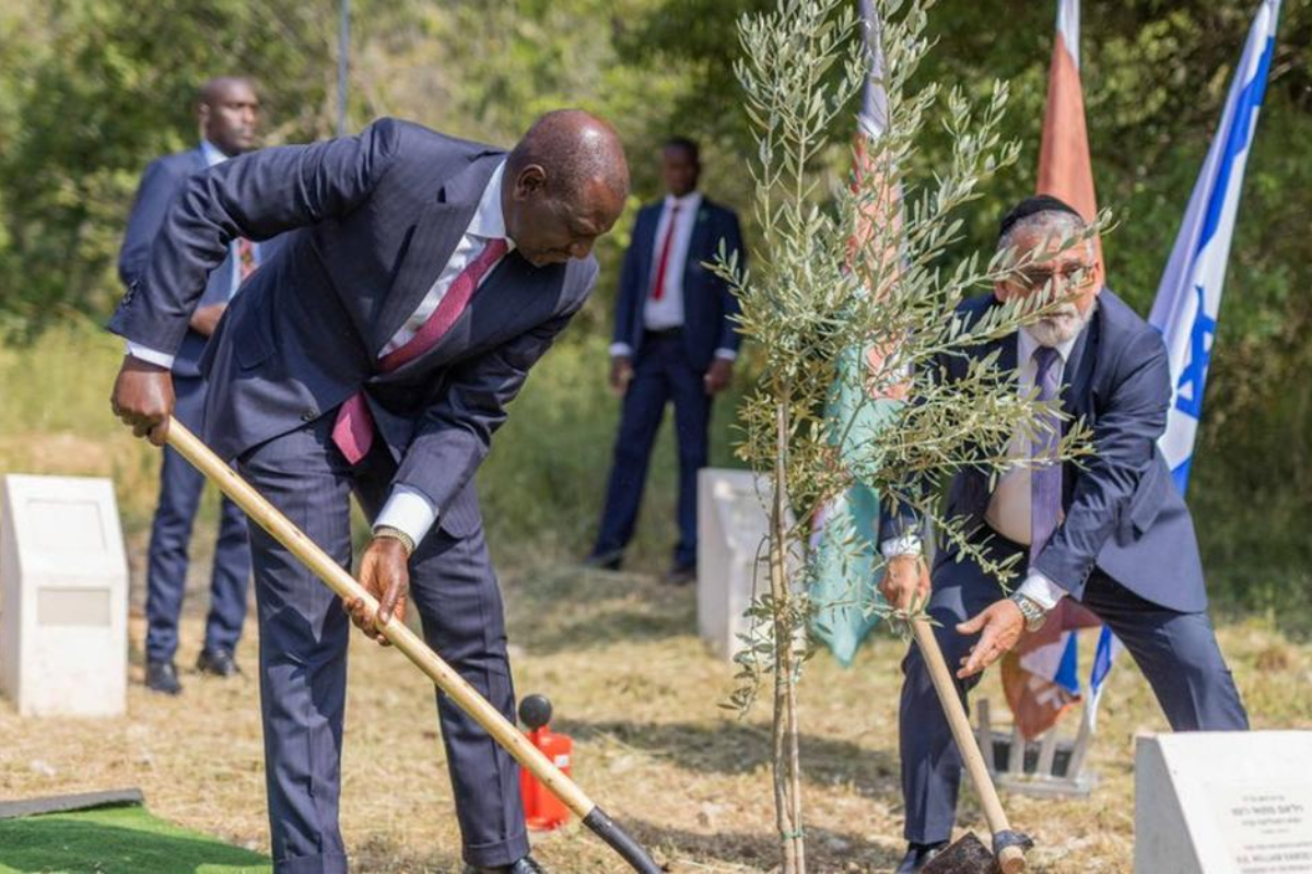 Kenyans to plant 100m seedlings