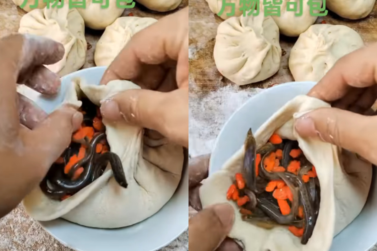 Live Worms in Momos