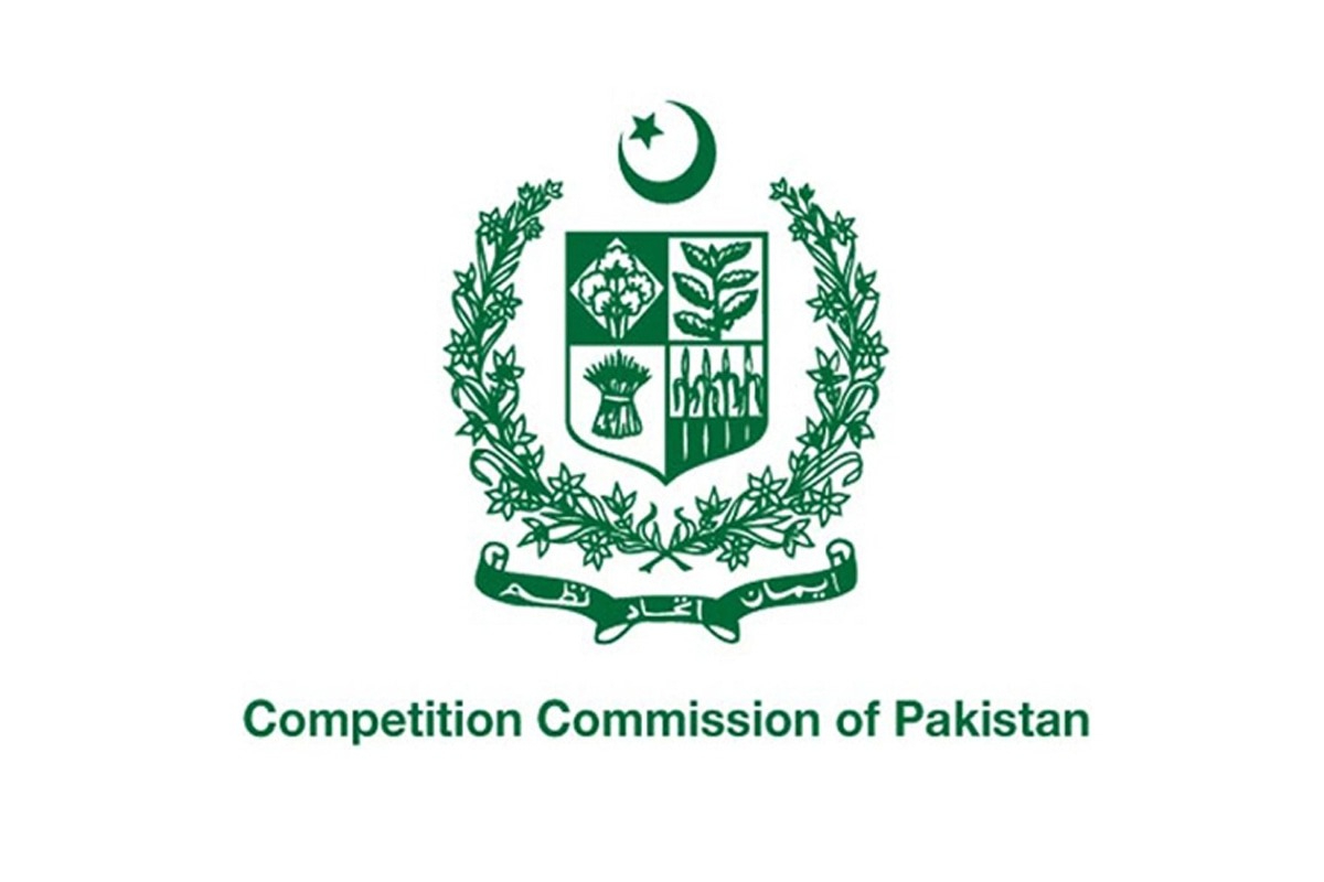 CHINA BASED COMPANY ACQUIRES RENEWABLE ENERGY FIRM IN PAKISTAN