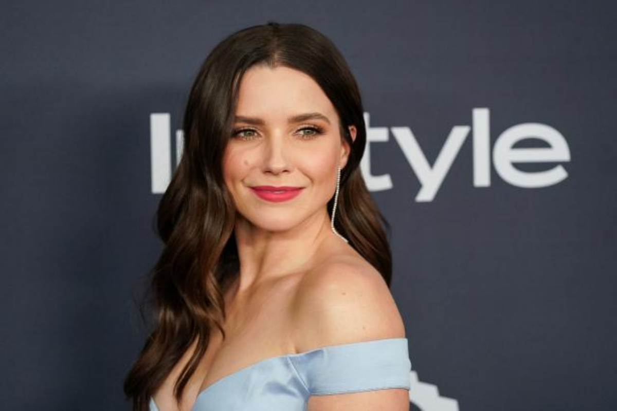Who is Sophia Bush? Exploring the Life and Career of an Actress