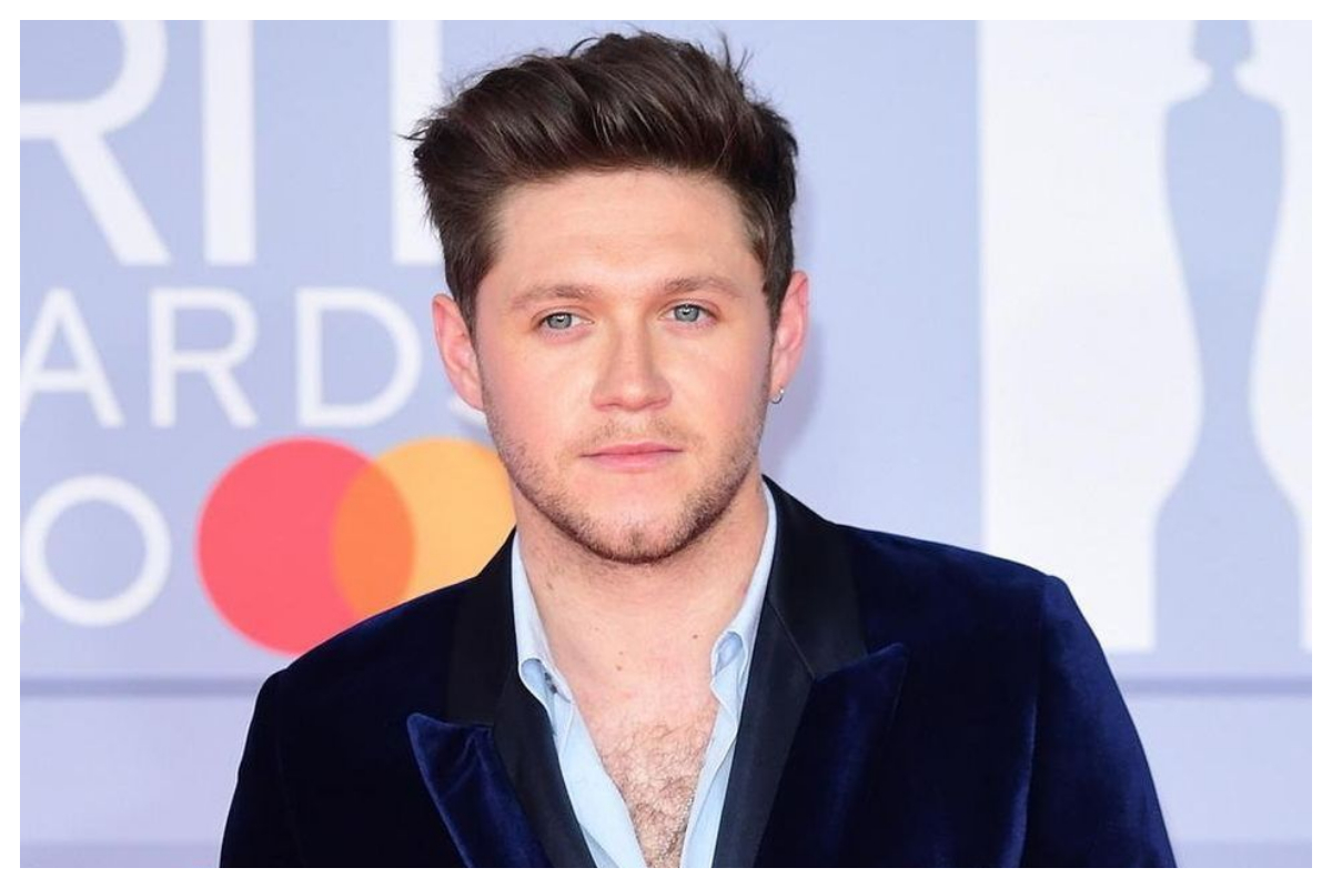 Who is Niall Horan? Exploring the Irish Melody Maker