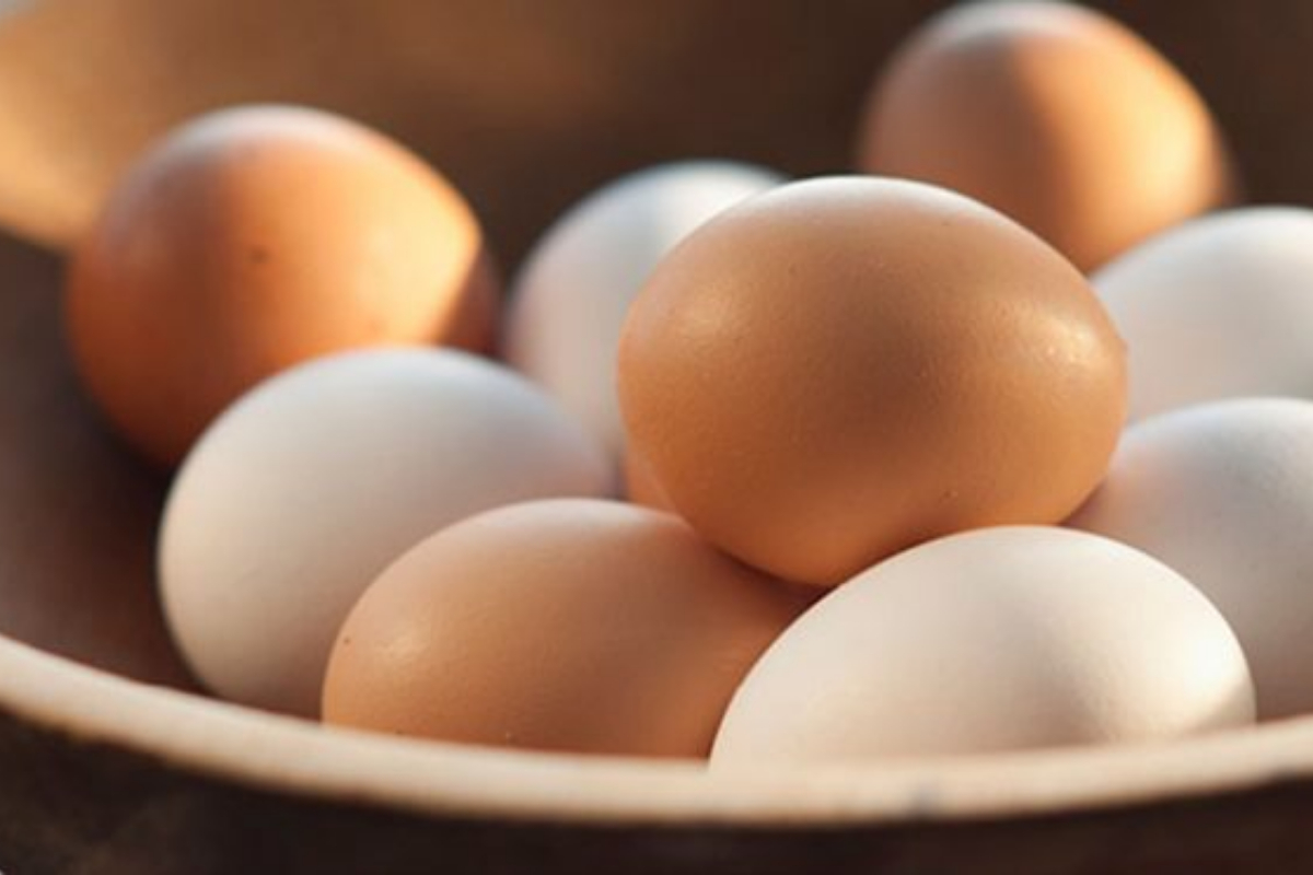 Egg prices in Pakistan