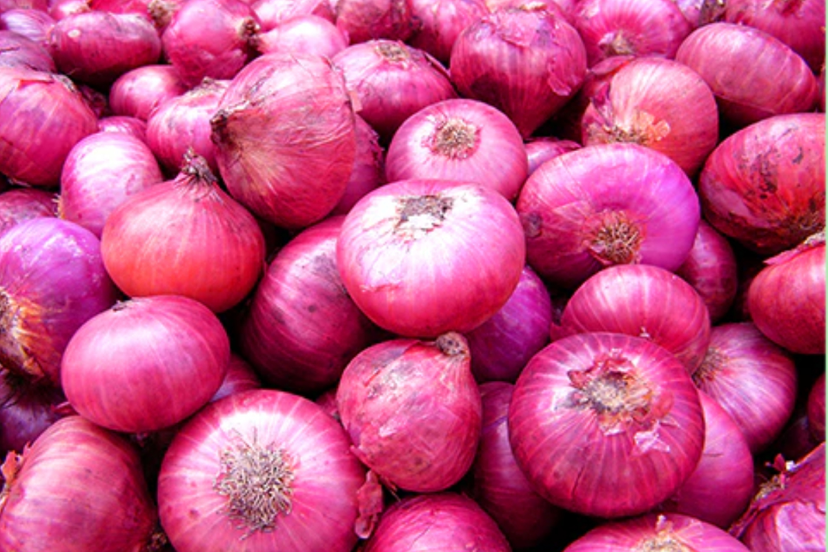 Onion prices in Pakistan