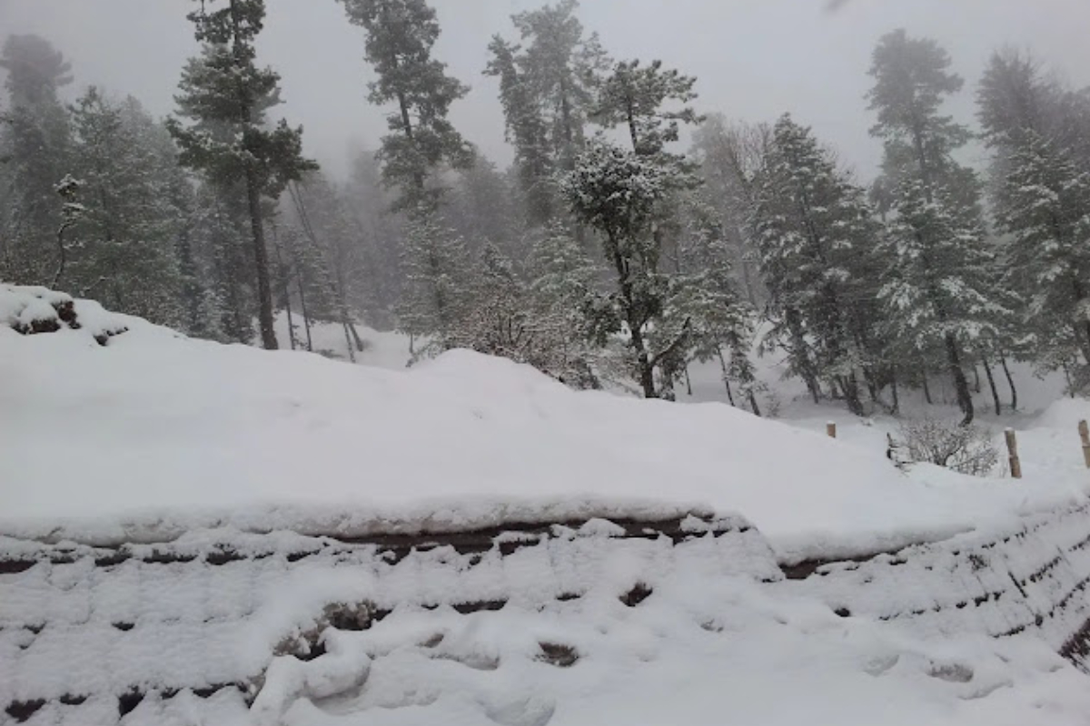 Peshawar, Khyber Pakhtunkhwa latest weather update today