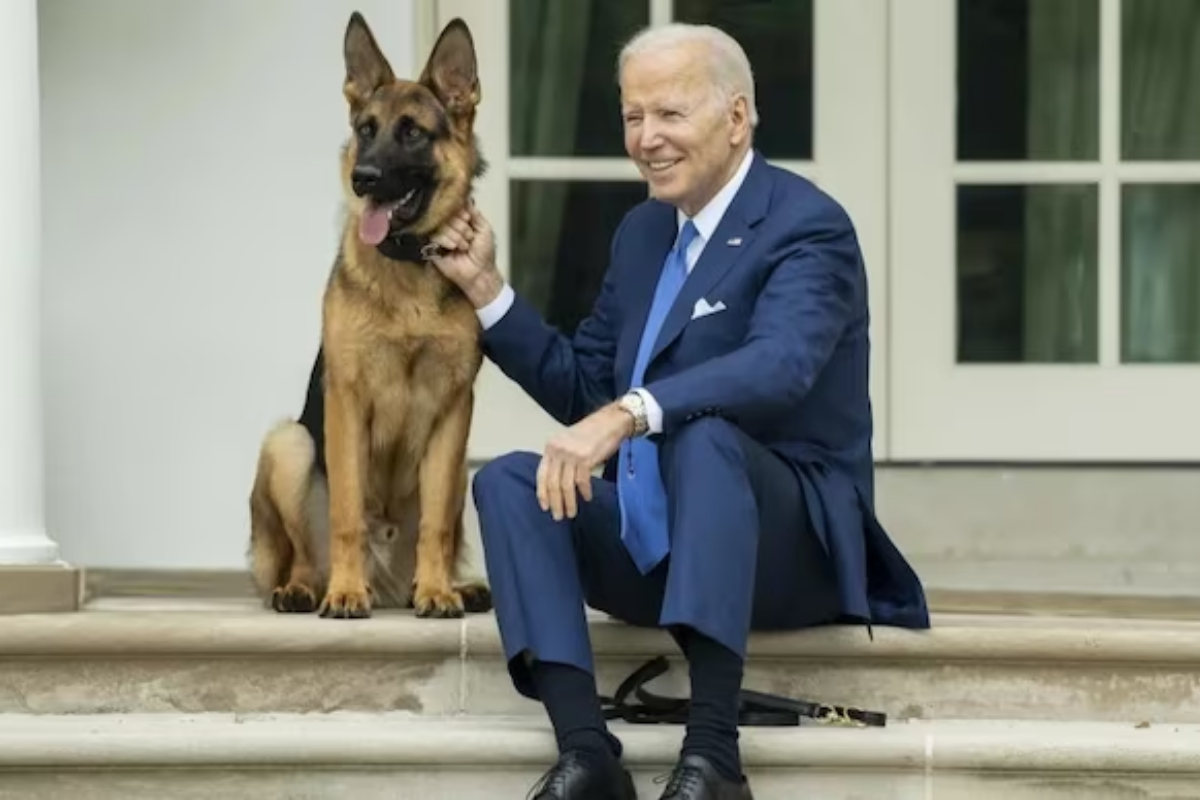 Biden's Dog Bites: Commander Incidents Tally 24