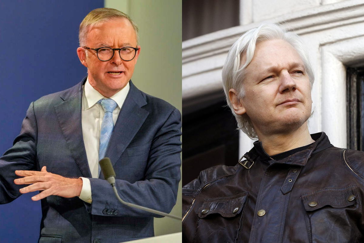 Australian politicians advocate for release of WikiLeaks Founder Julian Assange