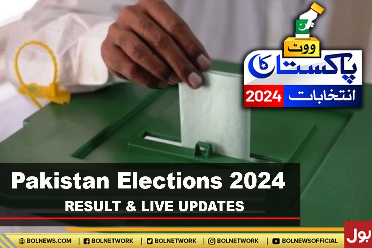 Election 2024 National Assembly seat