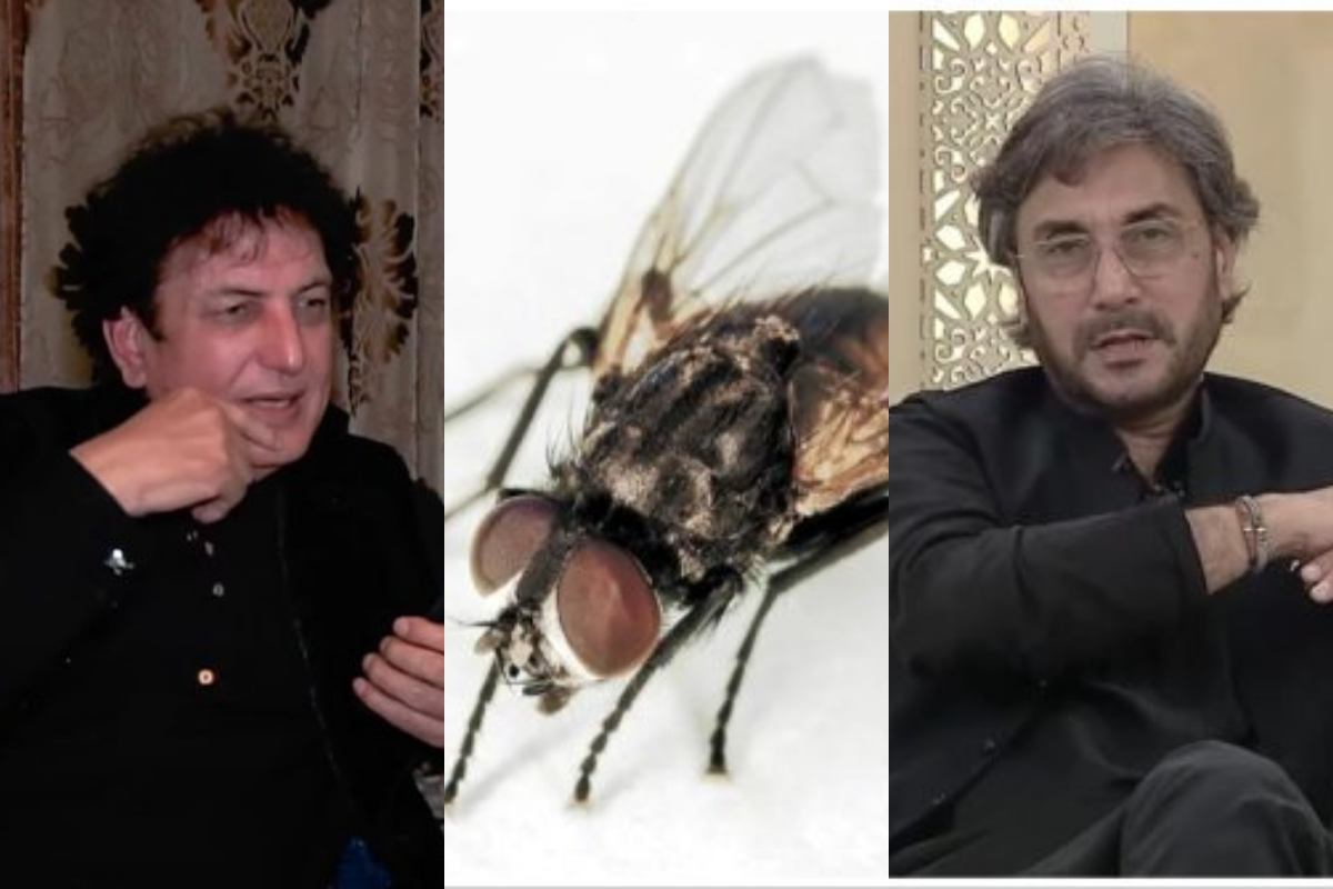 Khalil ur Rehman Qamar give response to Adnan Siddiqui viral clip and calls Ken Doll “Beghaiarat”