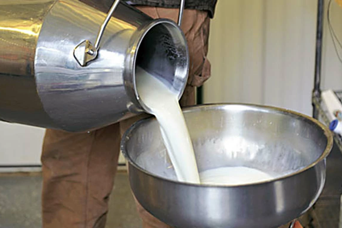 Dairy Farmers in Karachi Seek Rs300/Litre Milk Price