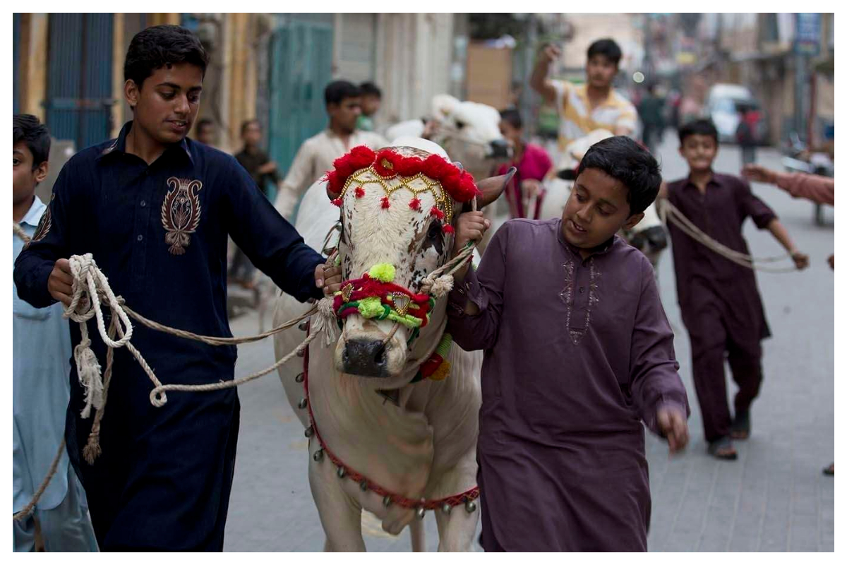 Qasai Rates in Karachi for Eid-ul-Adha 2024