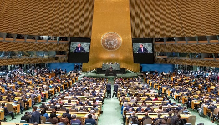Pakistan elected as non-permanent member to UN Security Council