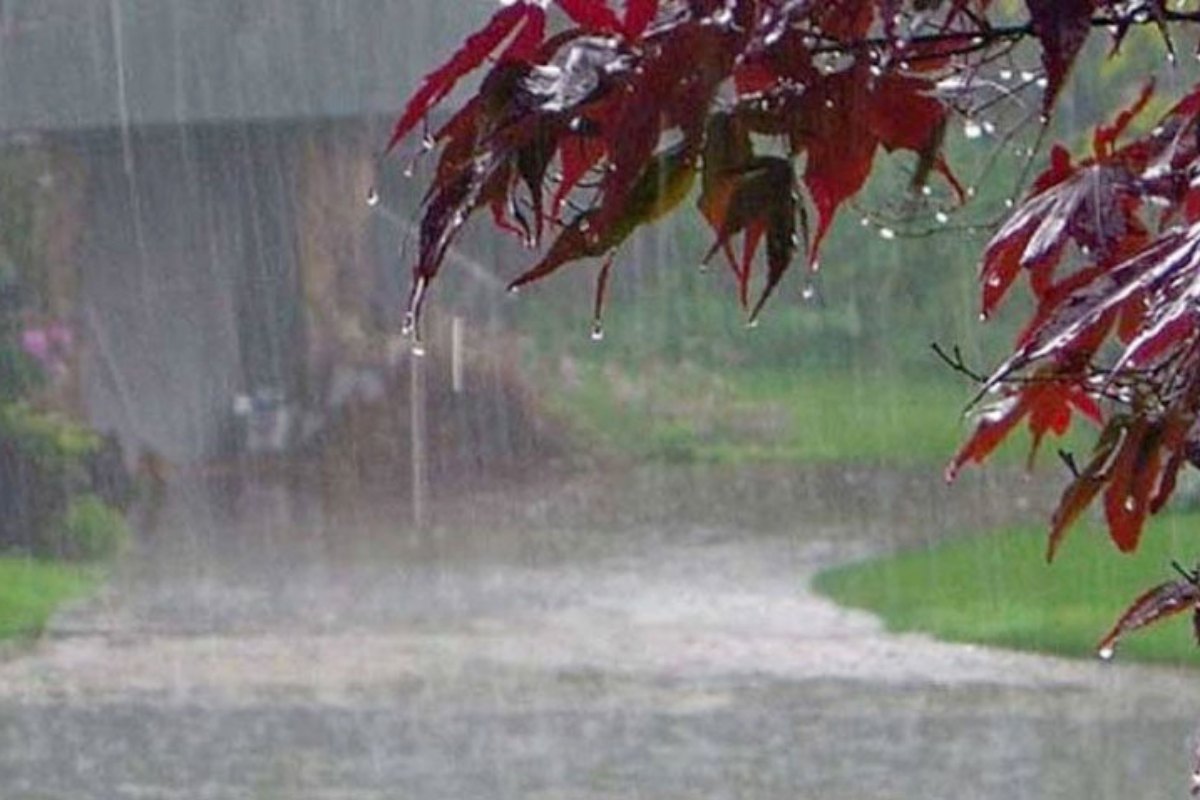 Isolated rains and heavy falls predicted in Peshawar, Khyber Pakhtunkhwa