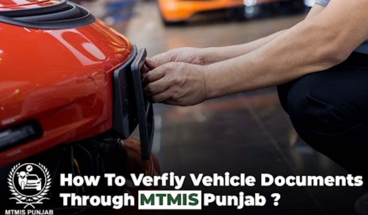 MTMIS Punjab