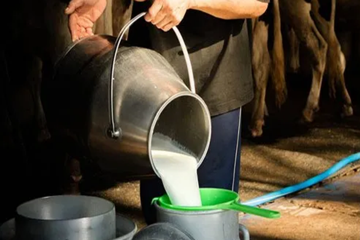 Milk prices in Pakistan