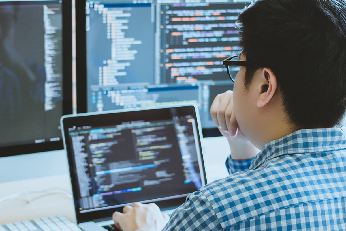 Punjab Youth IT Courses 2024: Free Enrollment for Graphic Design, AI & Cyber Security