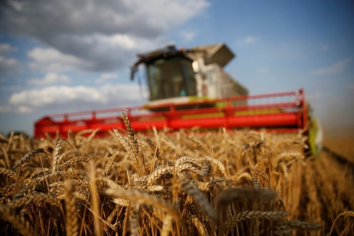 Pakistan suffers Rs496.39 billion loss due to poor handling of five crops