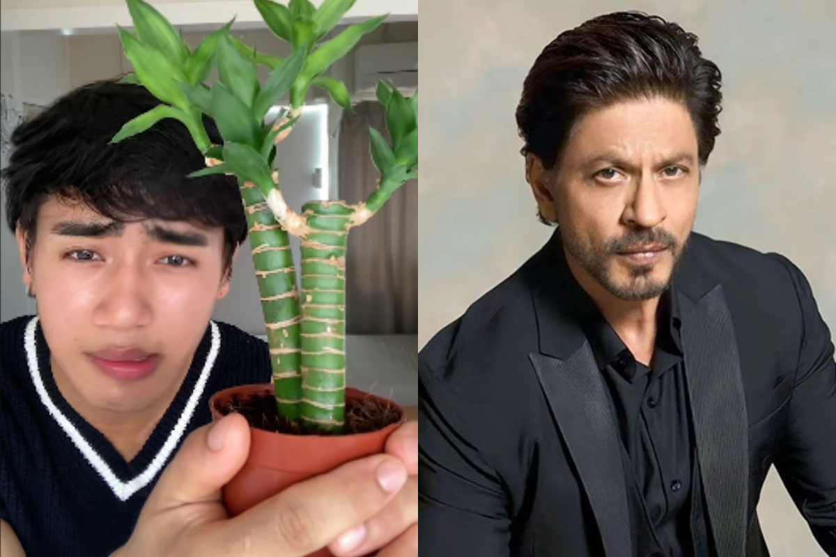 Shah Rukh Khan