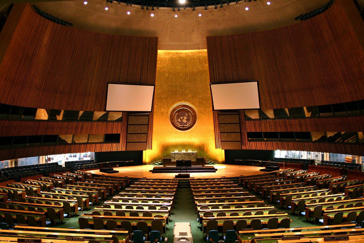 UN panel