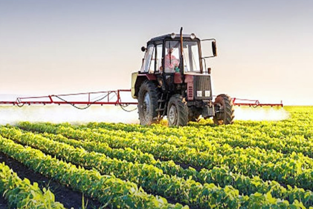 Significant Surge in Pakistan’s Agricultural Exports